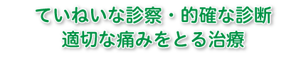 ていねいな診察・的確な診断・適切な痛みをとる治療